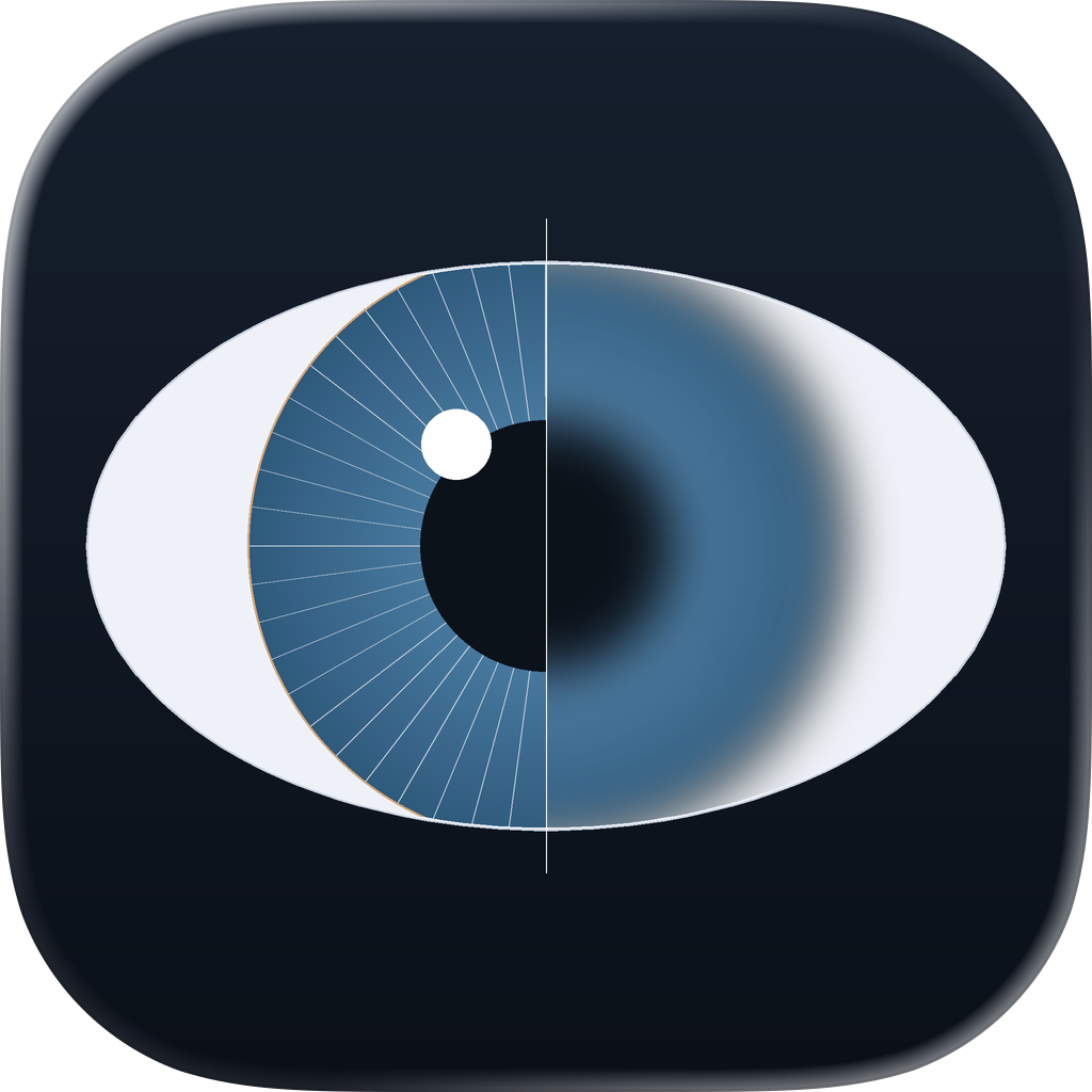Vision Simulator